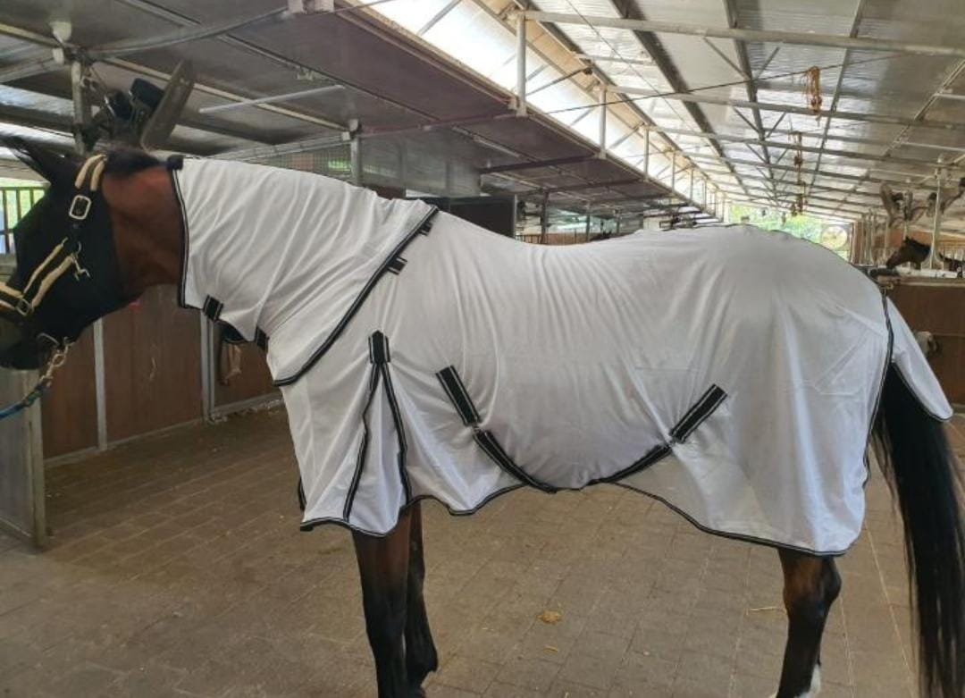 Fly Rug 